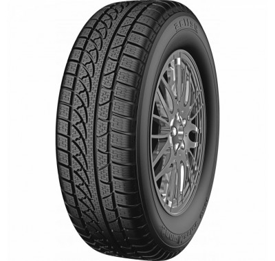 Шины Petlas Snowmaster W651 255/40 R19 100V XL